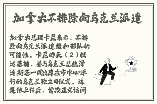 主人我错了能不能关掉开关